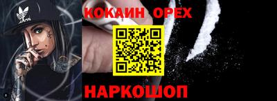 прущие грибы Заводоуковск