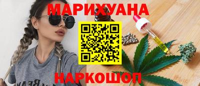 прущие грибы Заводоуковск