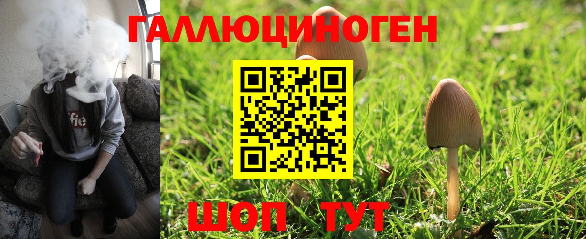 цены   Вход с VPN  Уссурийск  Псилоцибиновые грибы GOLDEN TEACHER  Псилоцибиновые грибы ЛСД 